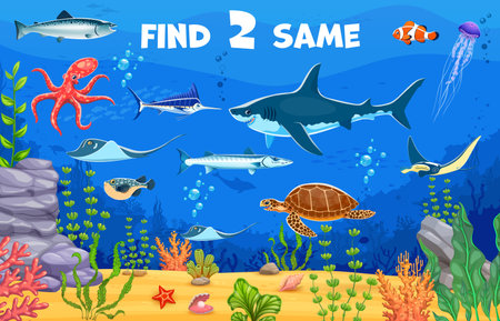 Kids game worksheet, find two same underwater sea animals. Cartoon vector educational riddle for children activity with octopus, shark, turtle, clownfish and stingray, jellyfish, tuna and puffer fishのイラスト素材