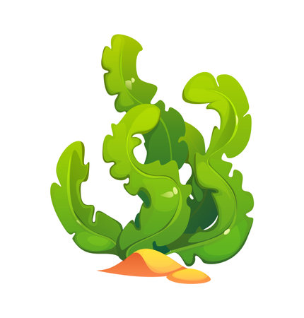 Underwater cartoon seaweed or sea algae and kelp alga of coral reef, cartoon vector. Ocean water plant or marine grass, aquatic weed spirulina and laminaria with green leaf for aquarium seaweed algaeのイラスト素材