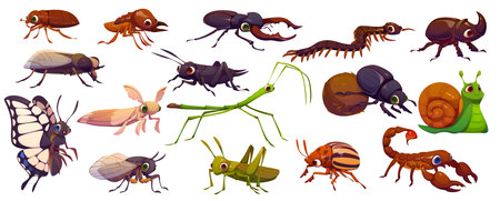 Cartoon funny insect and bug characters. Happy googly butterfly, snail, scorpion, grasshopper and cockroach insect vector personages. Cute cricket, stag, rhinoceros, dung and colorado potato beetlesのイラスト素材