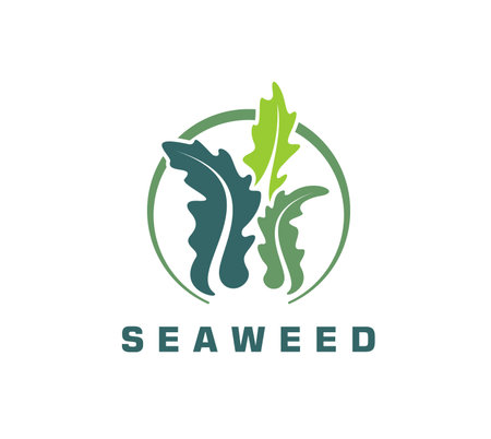 Aquatic seaweed icon, vector emblem with green sea algae plant. Underwater tropical kelp or undersea water life, marine flora for eco friendly, ocean related or sustainable business brandingのイラスト素材