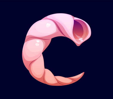 Reef seashell cartoon font letter C. Coral reef seashell font element, underwater mollusk mussel vector English alphabet typeset symbol. Sea shell kids ABC type letter or cartoon typeface signのイラスト素材