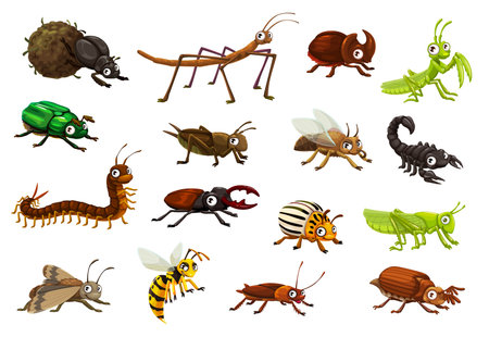 Cartoon funny googly insect characters. Cute bugs vector personages of grasshopper, mantis, cricket, scorpion and stick beetle. Cartoon happy garden insects, hornet, cockroach, stag and rhino beetlesのイラスト素材