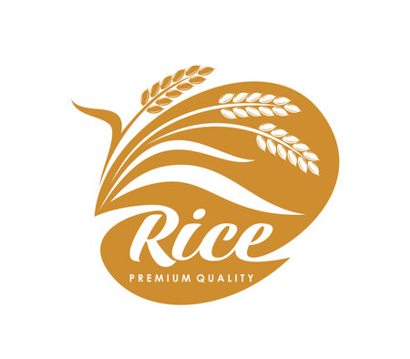 Rice icon for organic grain food and farm plant seeds package label, vector symbol. Natural rice product packaging round icon with rice ears on field for premium quality food products and cerealsのイラスト素材