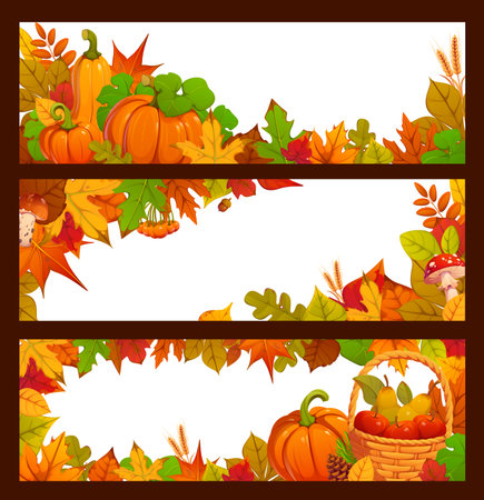 Autumn fall and harvest season banners framed with colorful leaves, pumpkins, berries and mushrooms, oak acorns and wheat ears. Thanksgiving autumn holiday and festival banners, vector blank templatesのイラスト素材