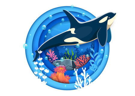 Paper cut underwater landscape banner with funny killer whale orca, cartoon vector. Killer whale or orca sea animal and fish character in seaweeds of ocean coral reef in paper cut undersea landscapeのイラスト素材