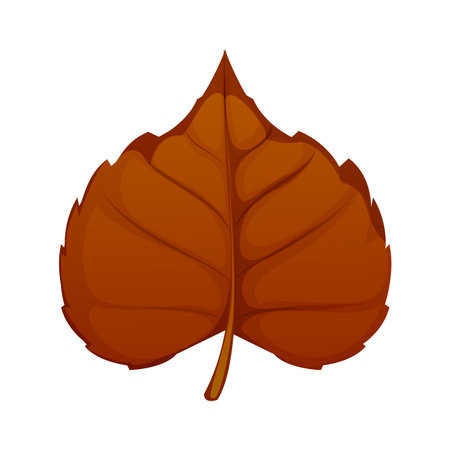 Cartoon autumn leaf with a vibrant brown color. Isolated vector tree or plant foliage with smooth and symmetrical shape, prominent veins and a slender stem, capturing the essence of fall seasonのイラスト素材