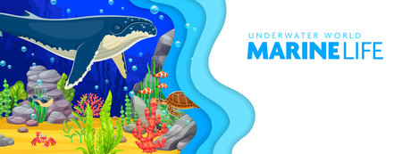 Paper cut underwater landscape banner with big blue whale, sea turtle and crab animals and fishes swim amidst vibrant coral reef. 3d vector layered papercut frame with cartoon ocean life biodiversityのイラスト素材