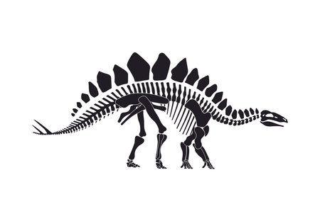 Stegosaurus dinosaur skeleton bones silhouette. Jurassic era lizard skeleton silhouette vector, prehistoric animal bones . Extinct dinosaur archaeological find or with back plates and spikes on tailのイラスト素材