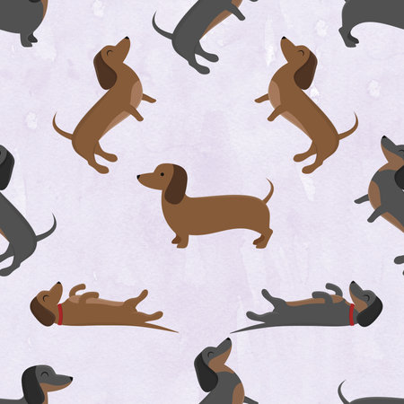 Seamless pattern with cute cartoon dachshunds.の写真素材