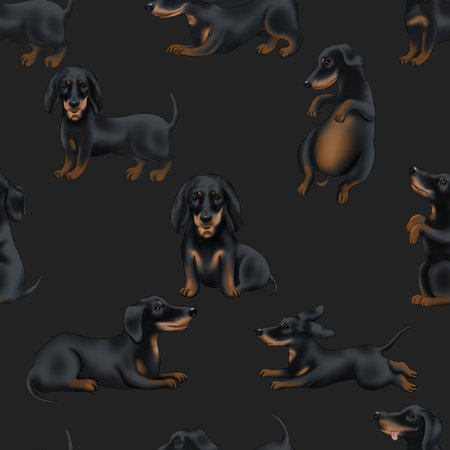 Dachshund dog seamless pattern on dark background. Vector illustrationの写真素材