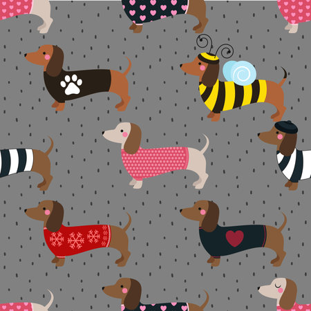 Seamless pattern with cute cartoon dachshunds.の写真素材