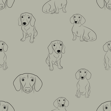 Seamless pattern with dachshund. Vector illustration.の写真素材