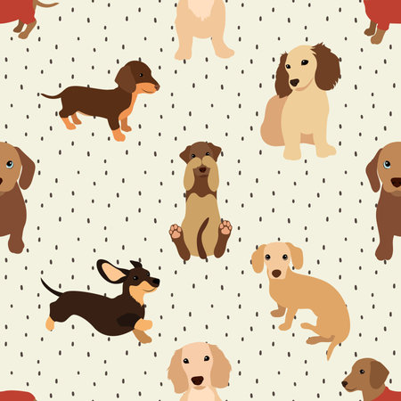 Seamless pattern with cute dachshund puppies. Vector illustrationの写真素材