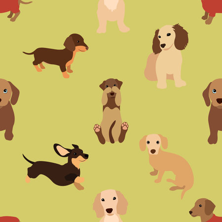 Seamless pattern with cute cartoon dachshund puppies.の写真素材