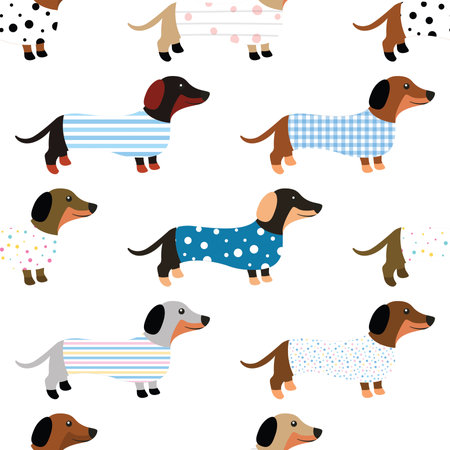 Seamless pattern with dachshunds. Vector illustrationの写真素材