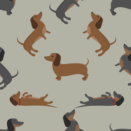 Seamless pattern with dachshunds. Vector illustrationの写真素材
