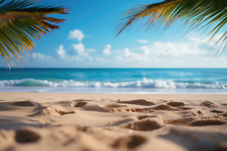 tropical landscape sandy beach and palm tree against blue sky. copy space for textの素材