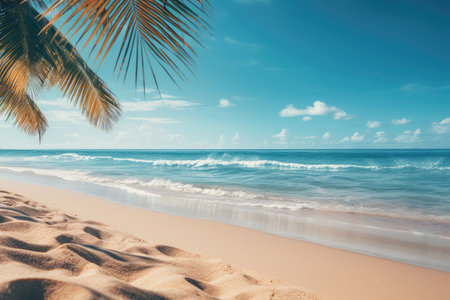 tropical landscape sandy beach and palm tree against blue sky. copy space for textの素材
