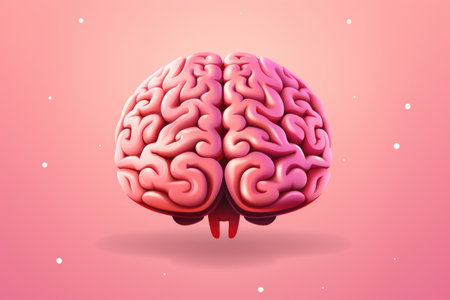 Anatomical model of the human brain, medical concept imageの素材