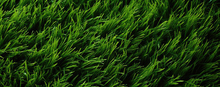 Texture of green grass flat layの素材
