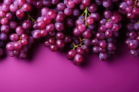 Grape brushes background for your design. Copy space for textの素材