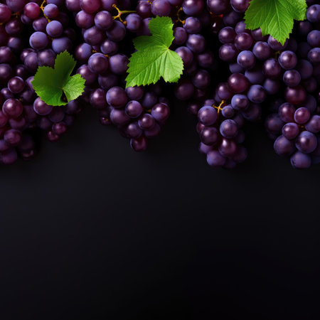 Grape brushes background for your design. Copy space for textの素材