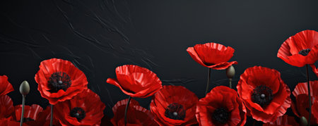 Blooming poppies flowers on black background, memorial day concept. horizontal bannerの素材
