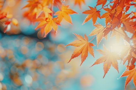 Autumn background of red leavesの素材