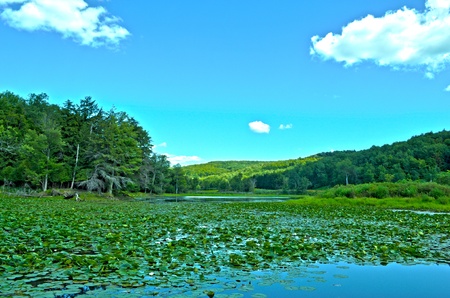A lake in upstate New York taken in HDR.の写真素材