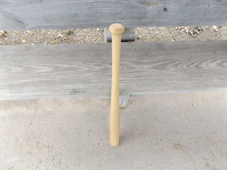 baseball bat