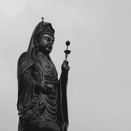 Bodhisattvaの写真素材