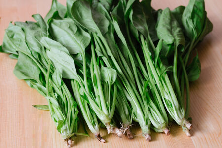 spinachの写真素材