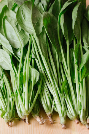 spinachの写真素材