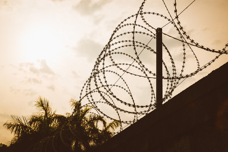 barbed wire fence at sunsetの写真素材