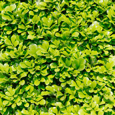 green leaves background