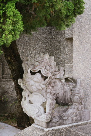 chinese lionの写真素材