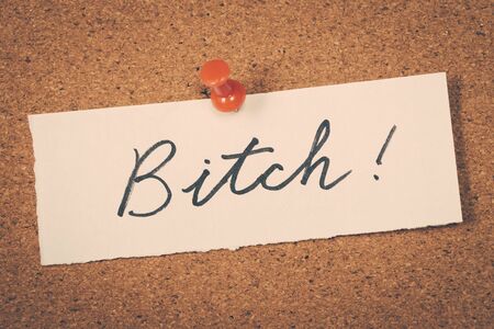Bitchの写真素材