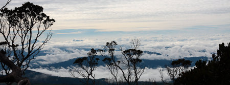 Sea of clouds