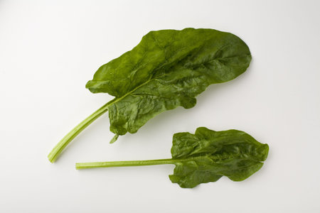 Two raw spinach leaves on white