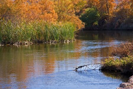Gila River running through grassland. Stock photo.の写真素材
