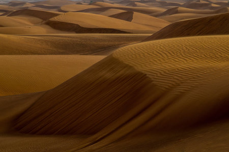 Desert Dunes Dubaiの写真素材