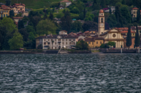 Lake Como Italy is a beautiful and peaceful tourist destination.の写真素材