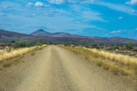 Outback roads and bush tracks in The Flinders Ranges National Park