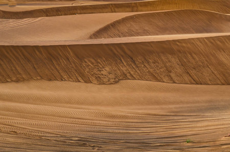 Dubai desert is close to the city and a pristine natural environment