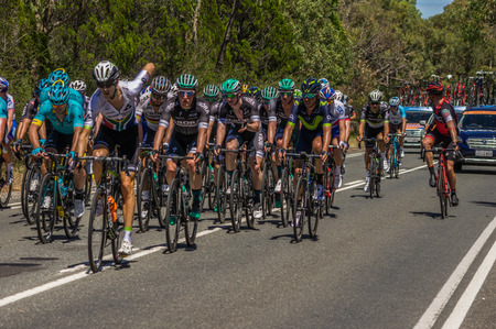 Adelaide South Australia 17 January 2017 The first stage of the Tour Down Under was gruelling in the 40 degree celsius heatのeditorial素材