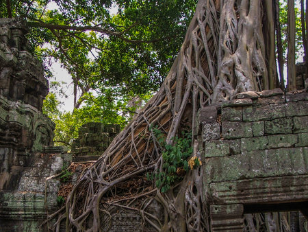 Cambodia has ancient temples and artifacts in abundance around  the city of Siem Reapのeditorial素材