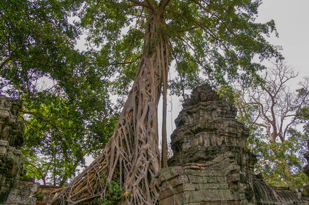Cambodia has ancient temples and artifacts in abundance around  the city of Siem Reapのeditorial素材