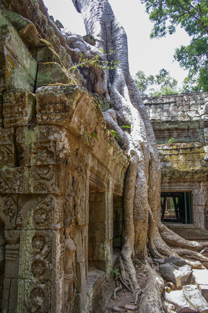 Cambodia has ancient temples and artifacts in abundance around  the city of Siem Reapのeditorial素材
