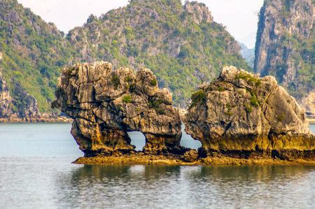 Halong Bay is a World Heritage area in North Vietnam attracting tourist from all over the worldの写真素材