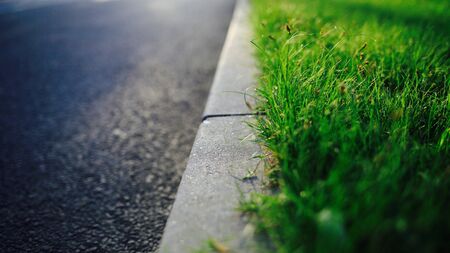 Grassの写真素材